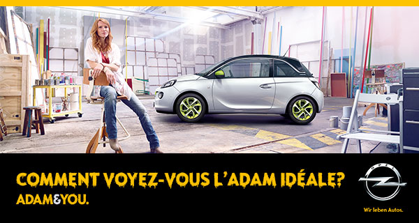 Comment voyez-vous l'ADAM idéale?